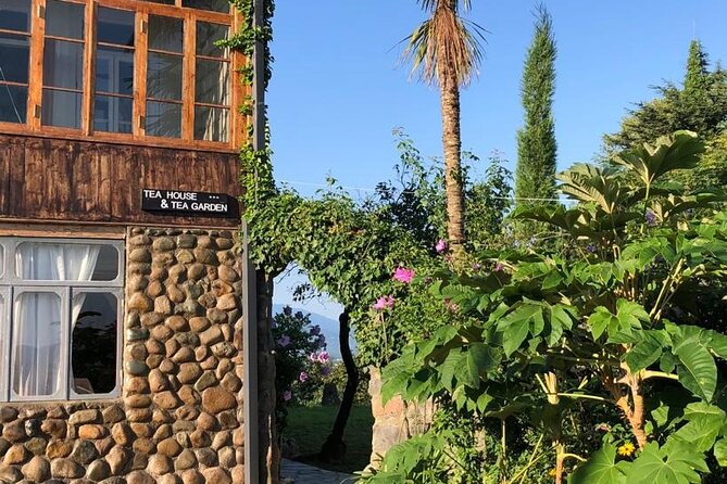 1,5 Hours Tea House and Tea Garden Trip in Ozurgeti Georgia - Booking details worth checking before you go