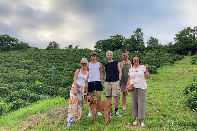 1,5 Hours Tea House and Tea Garden Trip in Ozurgeti Georgia - From fresh leaves to the production line