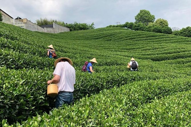 1-day Village Tea Picking, Roasting & Serving Guided Private Tour from Hangzhou - What the private format really adds