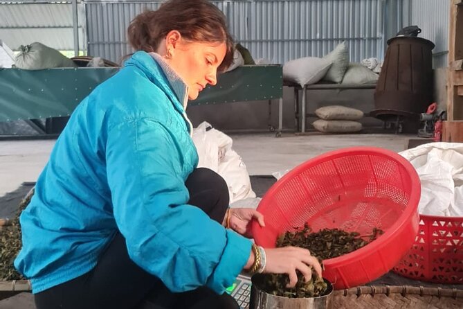 2 days Ancient Tea Tour and Real Homestay West of Ha Giang - Key points at a glance