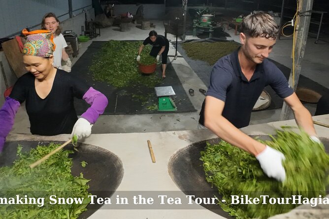 2 days Ancient Tea Tour and Real Homestay West of Ha Giang - Starting at 8:00 am in Ha Giang