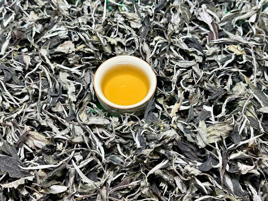 3 Hour Vietnam Tea & Egg Coffee Tasting With Train Street - What this Hanoi tea experience is really about