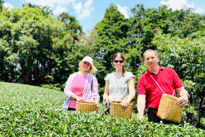 7 Hours Private Guided Tour Uji and Wazuka Matcha Farm - Walking a working tea farm