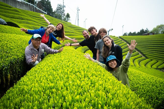 7hr Private Wazuka True Hidden Kyoto Matcha Farm Experience - Walking through two matcha farms