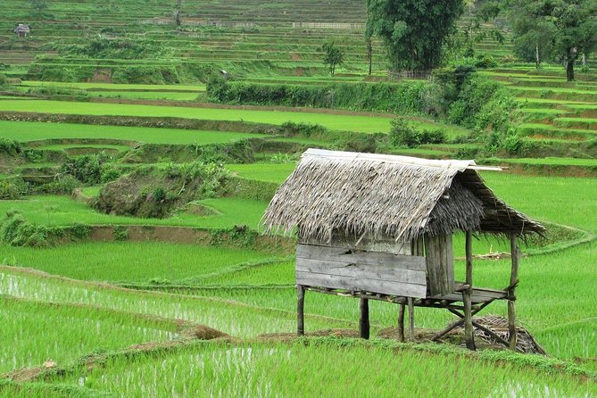 Active Volcano, Rice Field, Hot Spring, Fruit market, Tea Plantation with Lunch - Sundanese lunch and a local coffee stop