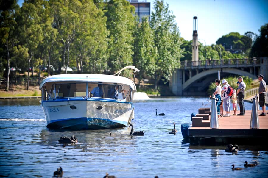 Adelaide: River Torrens Popeye Devonshire Tea Cruise - From Elder Park to the River Torrens Weir