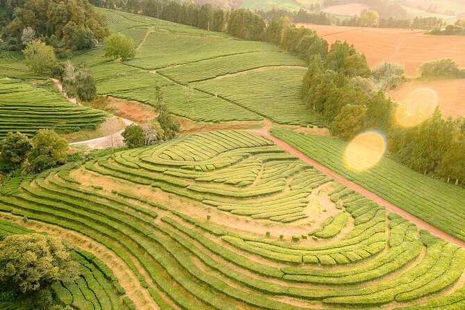 Adventure in the Furnas, with volcanoes, lagoons and tea plantations - Guides can shape the whole day