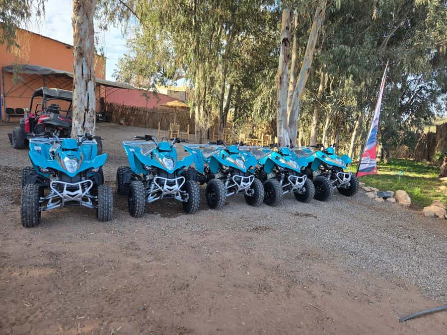 Agadir : 2 h Quad biking excursion with moroccan tea - Two hours of riding near Agadir