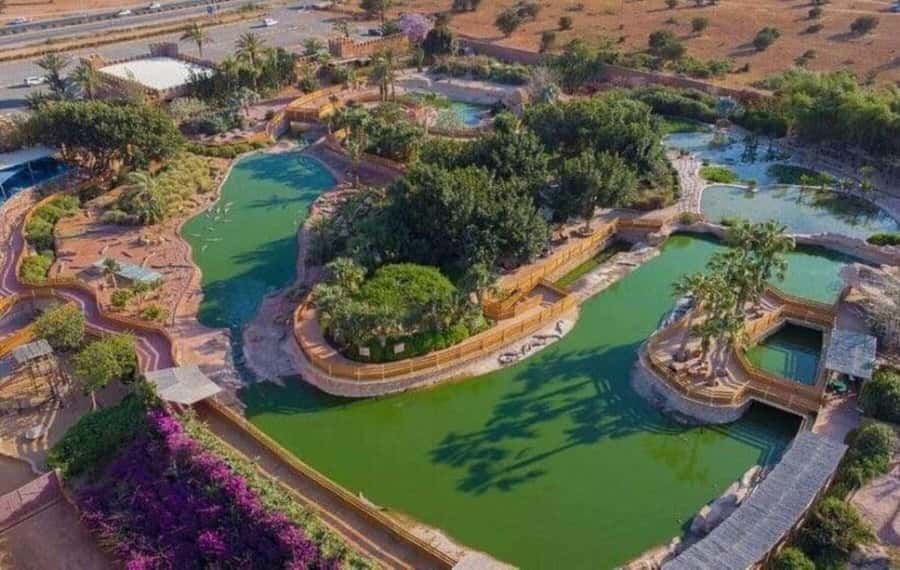Agadir: Quad Bike Safari Desert With Moroccan Tea - Who should book this outing?