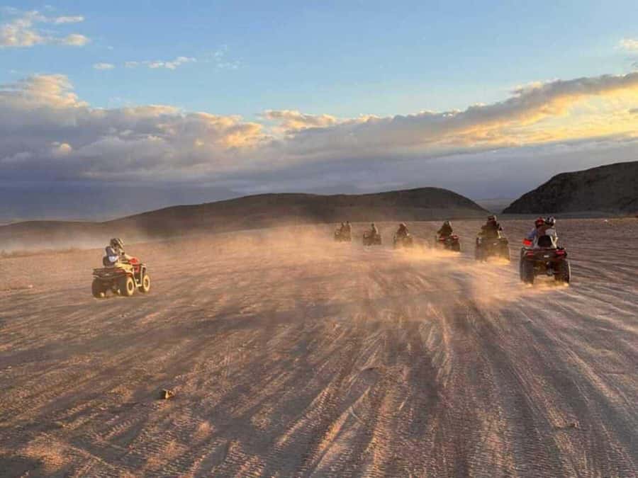 Agadir: Quad Bike Safari Desert With Moroccan Tea - The argan tree goat stop