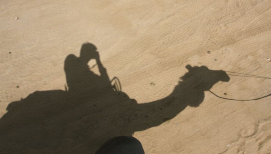 Agadir/Taghazout/Port: Camel Ride Tea & BBQ Option - Key points to know before you book