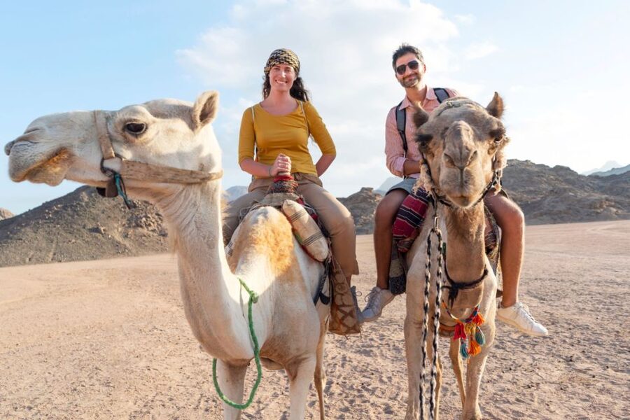 Agadir/Taghazout/Port: Camel Ride Tea & BBQ Option - Timing, language, and cancellation details