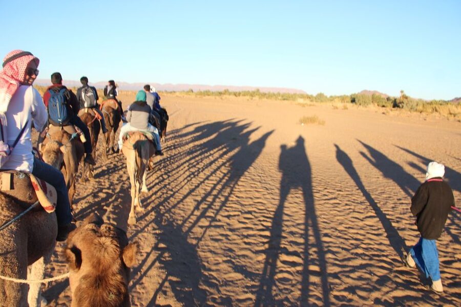Agadir/Taghazout/Port: Camel Ride Tea & BBQ Option - Riding from Agadir toward the Oued Sous