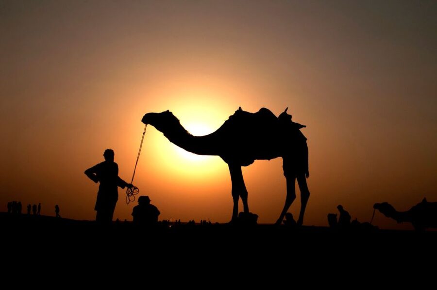 Agadir/Taghazout/Port: Camel Ride Tea & BBQ Option - How much value do you get for $22?