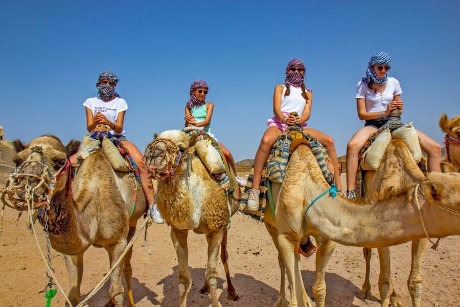 Agadir/Taghazout/Port: Camel Ride Tea & BBQ Option - Aghroud Bensergao and the less scenic opening stretch