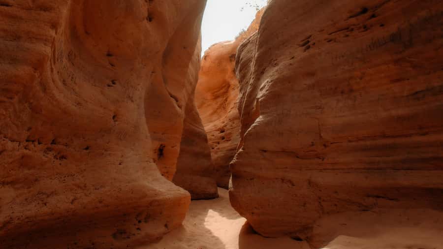 Agadir/Taghazout: Sandboarding & Sunset Tea with Fire Show - Free time lets you find your own rhythm
