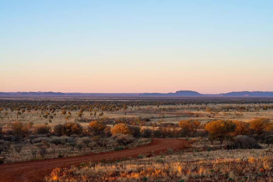 Alice Springs: Red Centre Journey Tour with Morning Tea - Red Sandy Dune viewpoint and Central Australian scenery