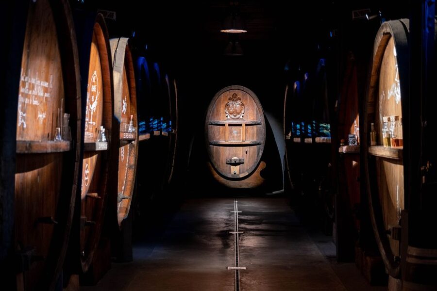 Alsatian Immersive Wine Tour, Wine Tasting & wine/tea time - How the two-hour visit unfolds