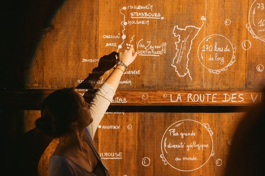 Alsatian Immersive Wine Tour, Wine Tasting & wine/tea time - Who will enjoy this most