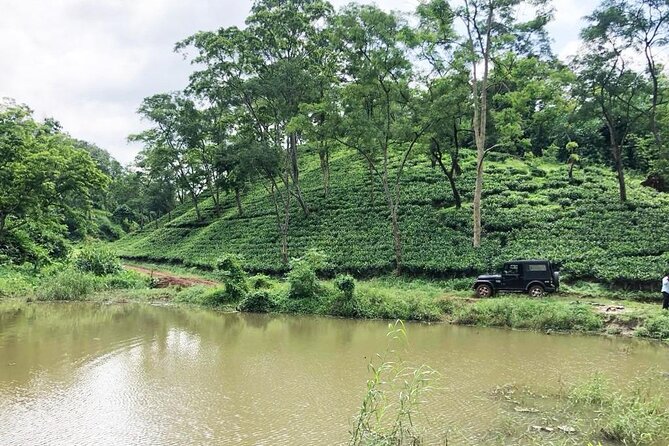 Amchong Tea Estate + Factory Visit (with Hi-tea only) - Following the leaf through the factory