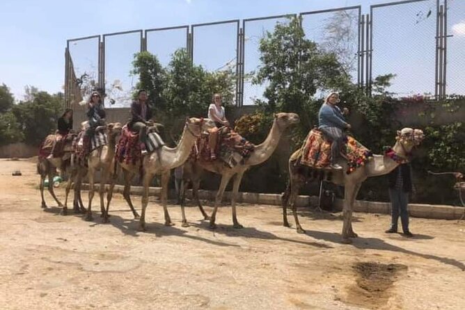 Arabian Nights immersion Pyramids Horse,camel Ride,Bedouin Tea - What the private format changes