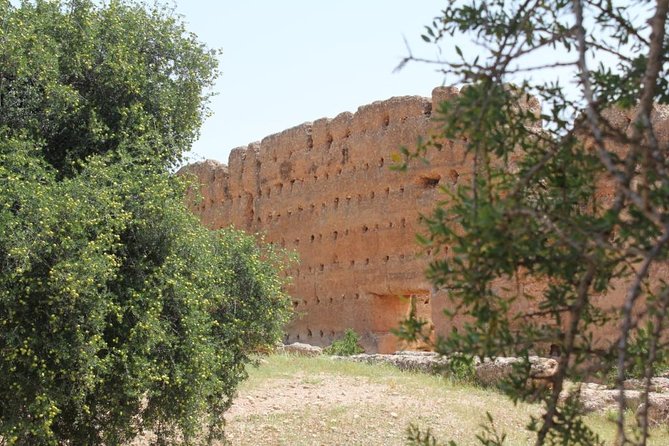 Argan Forest, tea time at a Berbers family & Visit of an Argan cooperative. - Seeing Argan Oil Made at Cooperative Marjana