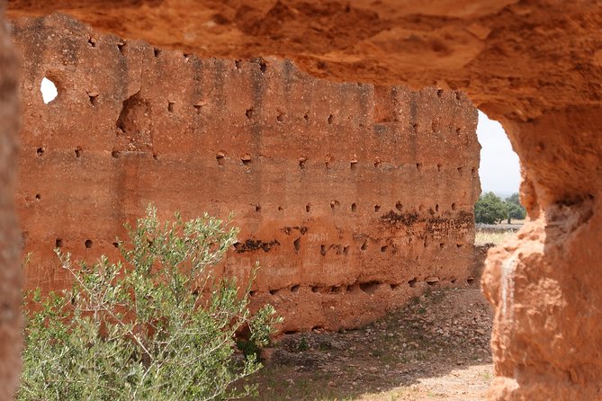 Argan Forest, tea time at a Berbers family & Visit of an Argan cooperative. - Who Should Book This Essaouira Experience?