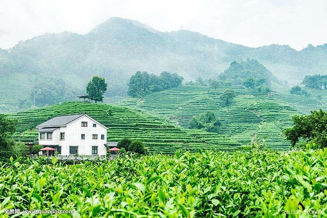 Authentic Hangzhou Longjing Tea Culture Experience Tour - The drive to Longjingshan Tea Cultural Village