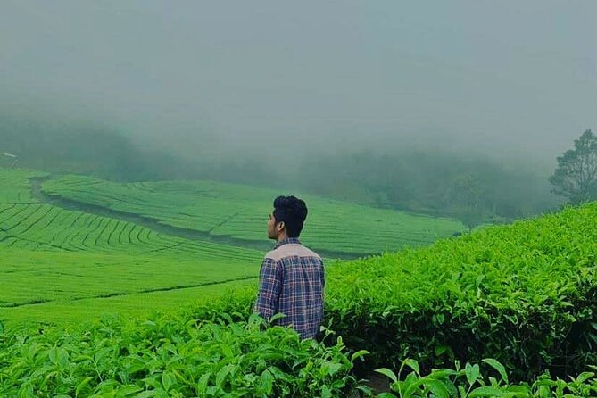 Bandung Tour Volcano, Hotsprings, Mud, Tea, Lunch all Included - Is $59.90 good value?