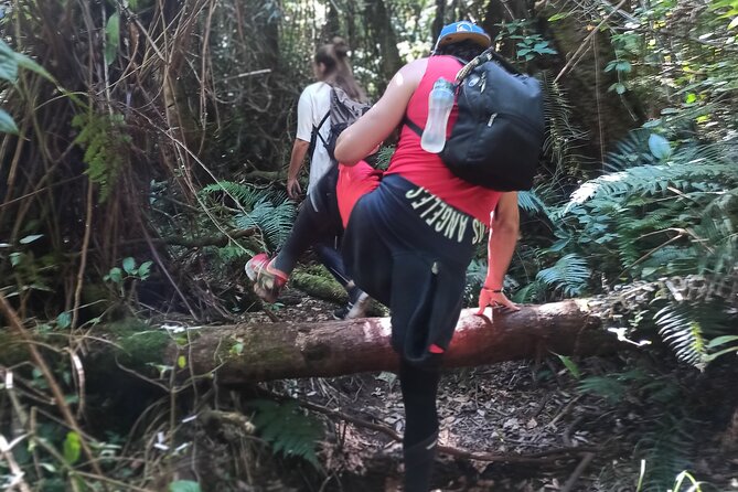 Bandung Tour Volcano, Hotsprings, Mud, Tea, Lunch all Included - Who should book this Bandung day trip?