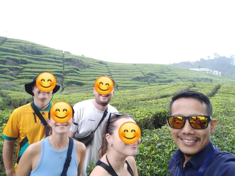 Bandung : White Crater, Tea Plantation Tour Guide Bandung - Meeting your driver in Bandung