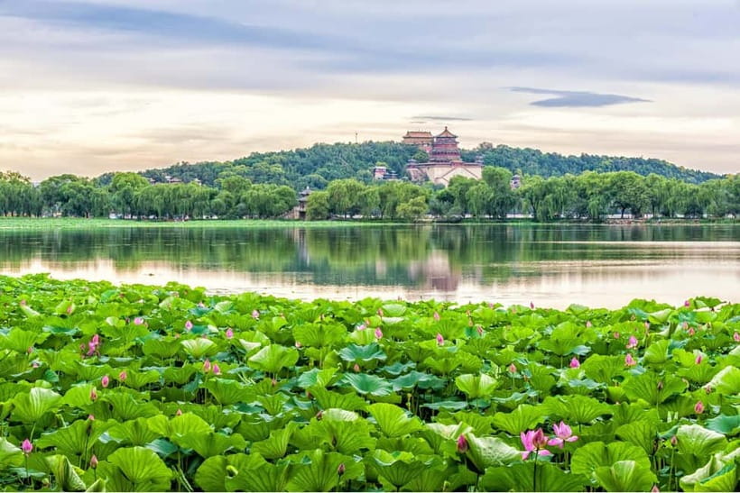 Beijing: Chinese Culture Tea Ceremony Reservation Service - What the instructor adds