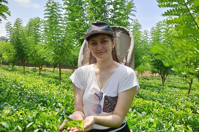Bentota Village Tour with River Safari & Tea Plantation/Factory - All Inclusive - What this Bentota day tour is really about