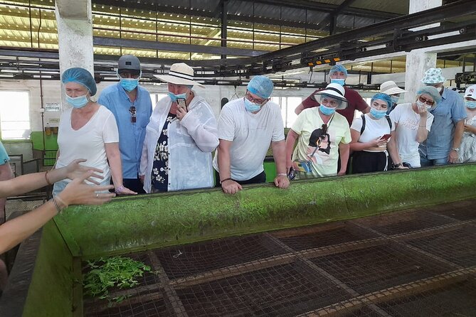 Bentota Village Tour with River Safari & Tea Plantation/Factory - All Inclusive - Cruising the Bentota River for one hour