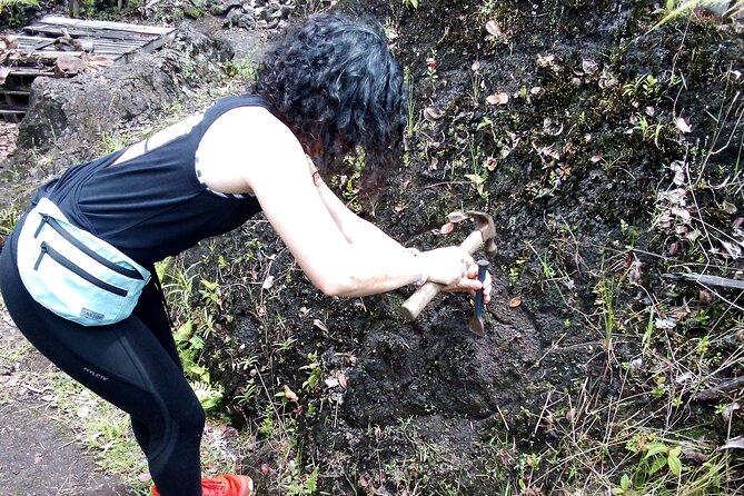 Big Island Jungle Tour with Guava Green Tea - Key points about the Jungle Tour