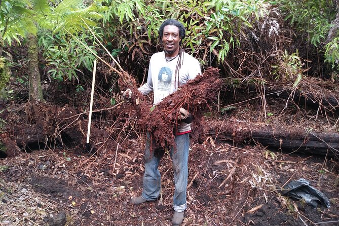Big Island Jungle Tour with Guava Green Tea - The recycled art gallery