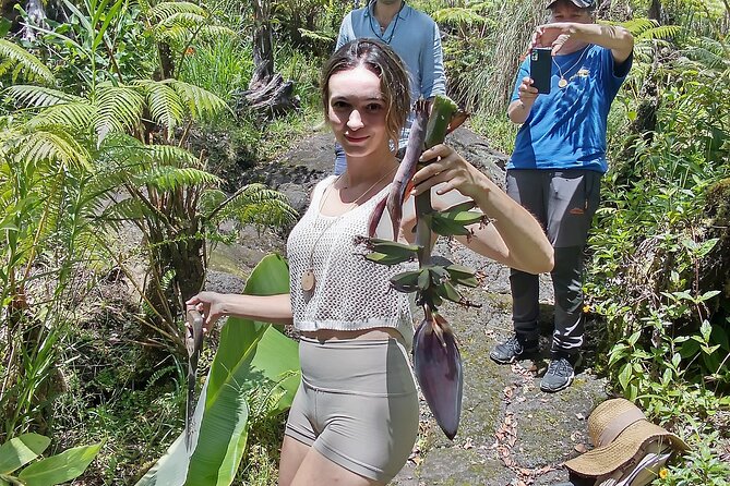 Big Island Jungle Tour with Guava Green Tea - Mount Rastamore and the lava rock sculptures