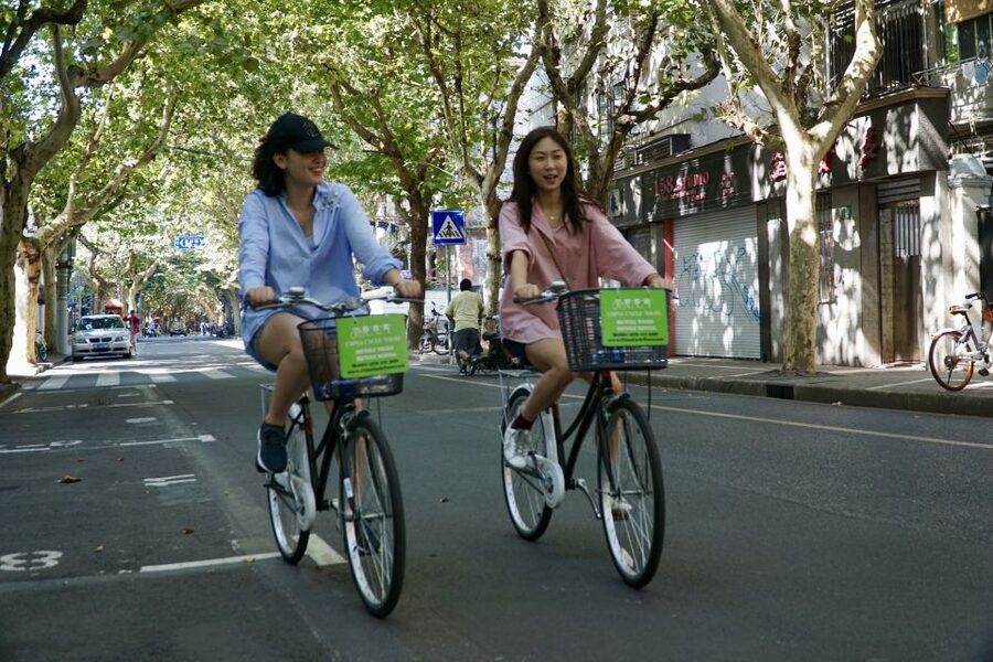 Biking Real Shanghai& Tea Tasting Experience - Guides, language, and group size