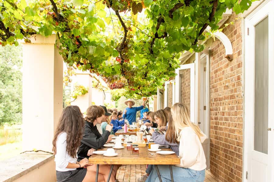 Bowral Honey Farm Tour, Honey Tasting & morning Tea - The 15-minute Flow Hive workshop
