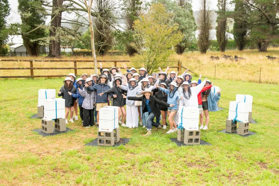Bowral Honey Farm Tour, Honey Tasting & morning Tea - Comparing local honeys by smell, texture, and taste