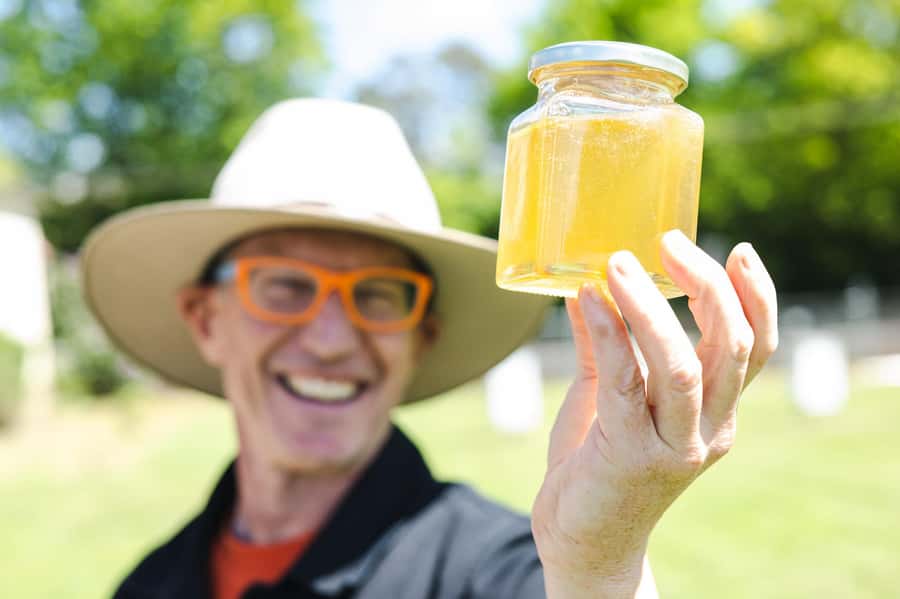Bowral Honey Farm Tour, Honey Tasting & morning Tea - Who will enjoy this hour near Bowral