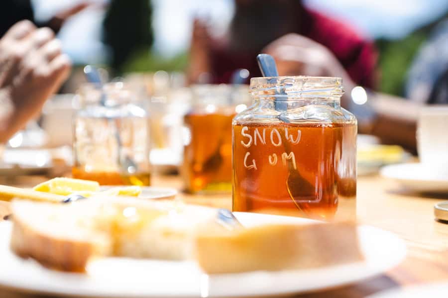 Bowral Honey Farm Tour, Honey Tasting & morning Tea - Should you book Bowral Honey Farm?