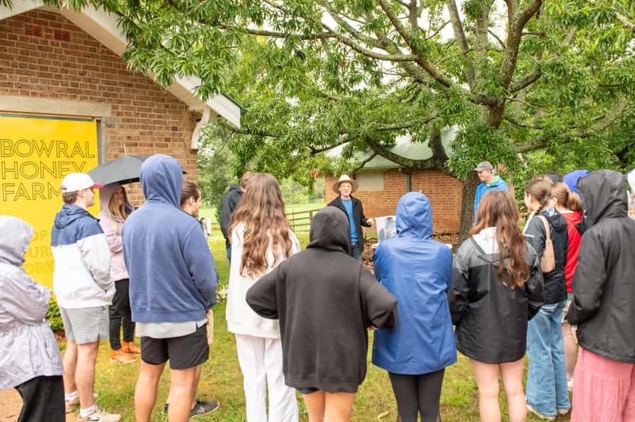 Bowral Honey Farm Tour, Honey Tasting & morning Tea - The five-minute safety briefing and 20-minute hive tour