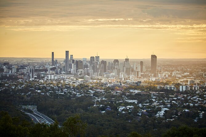 Brisbane Bus Tour: Max 10 people | Half Day | Morning tea inc. - Mt Coot-tha Summit Lookout is the morning’s big view
