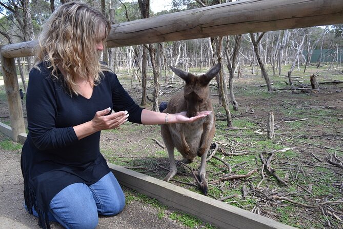 Brisbane Bus Tour: Max 10 people | Half Day | Morning tea inc. - New Farm Park finishes beside the river