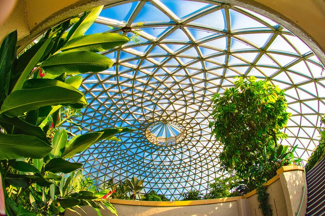 Brisbane Bus Tour: Max 10 people | Half Day | Morning tea inc. - Mt Coot-tha Botanic Gardens brings a change of pace