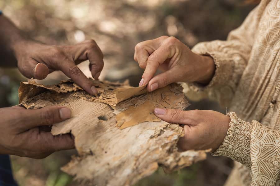 Bundaberg: Half Day Indigenous Experience with Morning Tea - What three hours feels like on the day