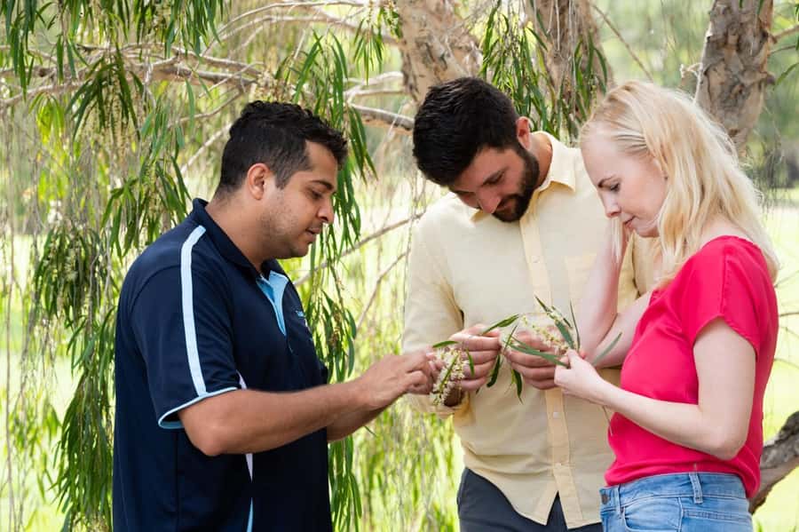 Bundaberg: Half Day Indigenous Experience with Morning Tea - Stories that connect ancient and present-day culture