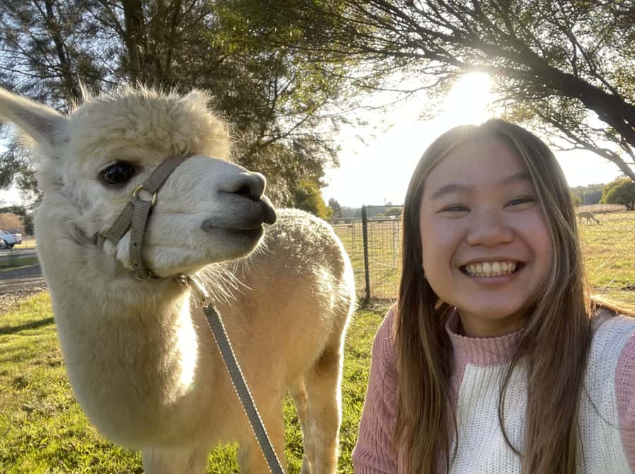Canberra: Alpaca Adventure Farm Tour (morning tea included) - What the talk adds beyond the cute photos
