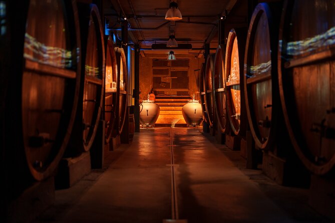 Cellar visit and "Wine time" (Tea Time around wine) - Two hours at Vins Zeyssolff